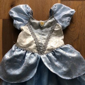 Disney park’s Cinderella dress
